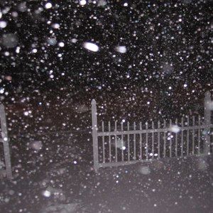 Meet your Posher, Arlene